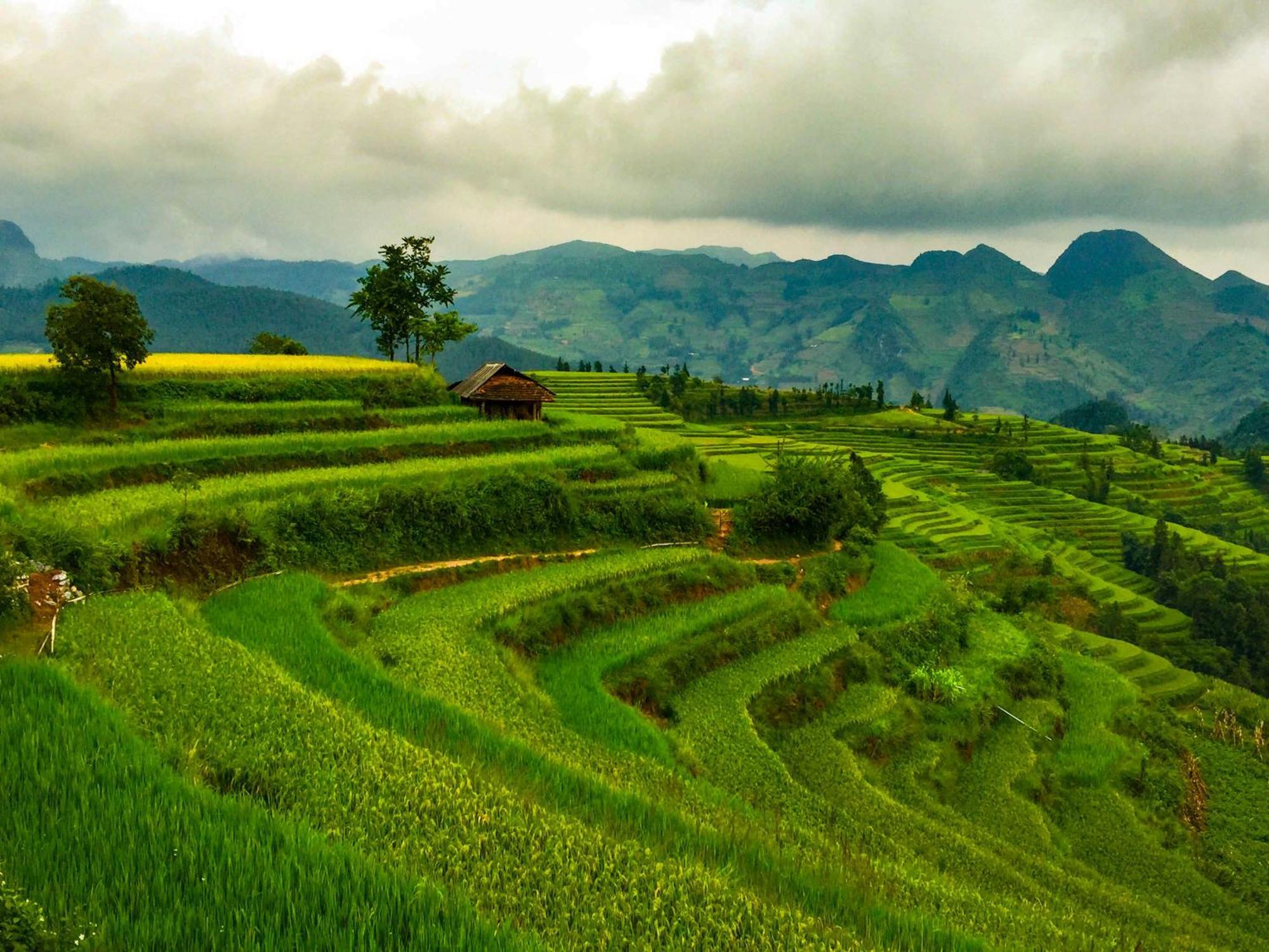 Cong Fu Hotel Bac Ha  Exteriér fotografie